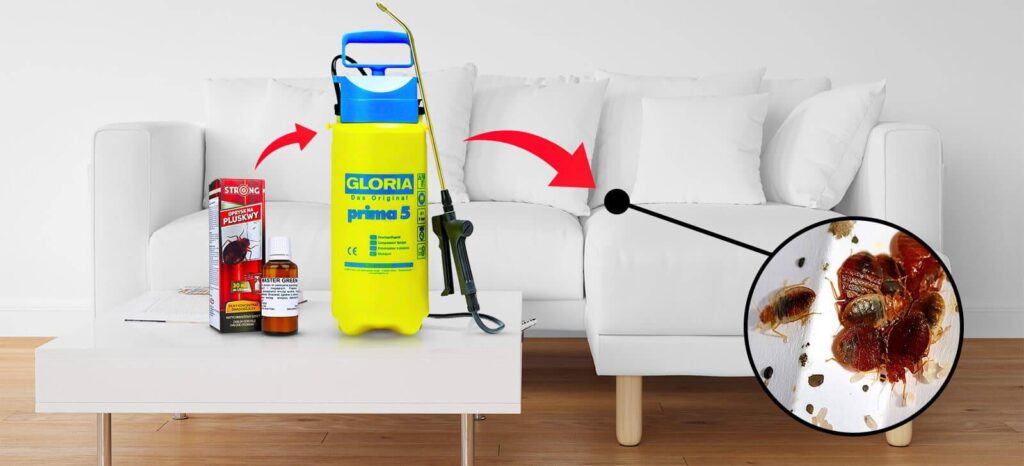 Skuteczne preparaty na pluskwy, karaluchy i kuny