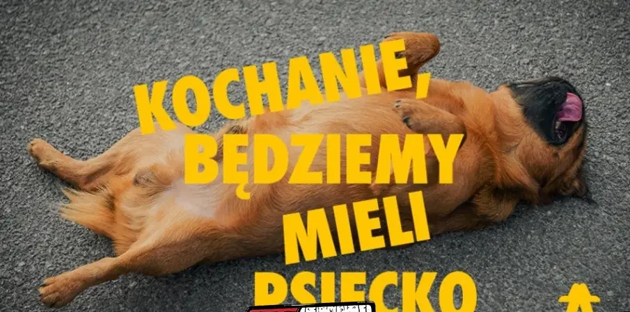 Kochanie, będziemy mieli psiecko – spektakl impro