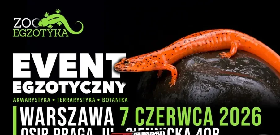 ZooEgzotyka Warszawa!