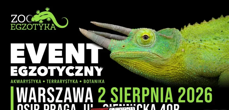 ZooEgzotyka Warszawa!