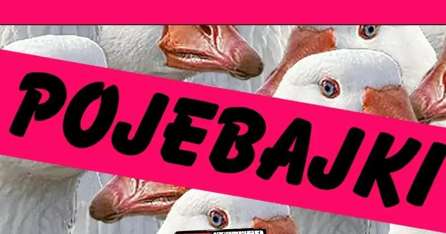 Pojebajki – czyli późne wieczorynki dla dorosłych