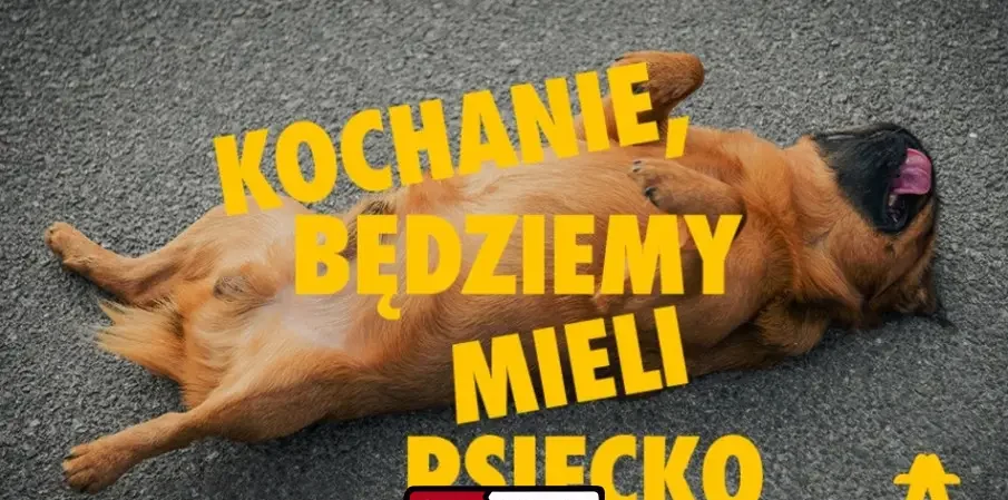 Kochanie, będziemy mieli psiecko – spektakl impro